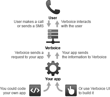 Infographic